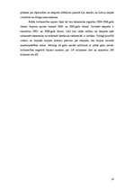 Referāts 'Eksporta analīze Latvijā', 19.