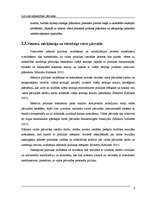 Referāts 'Latvijas sabiedrība un valsts pārvalde', 8.