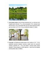 Konspekts 'Velomaršruts "Talsu, Kandavas un Sabiles apkārtnes leģendas"', 3.