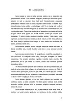 Referāts 'Atalgojuma sistēma un darba novērtēšana', 6.