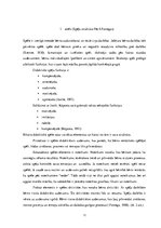 Diplomdarbs 'Didaktisko spēļu izmantošana 5 - 6 gadus vecu bērnu vārdu krājuma attīstīšanā', 11.