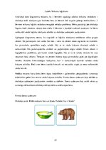 Diplomdarbs 'Didaktisko spēļu izmantošana 5 - 6 gadus vecu bērnu vārdu krājuma attīstīšanā', 21.