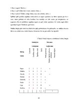 Diplomdarbs 'Didaktisko spēļu izmantošana 5 - 6 gadus vecu bērnu vārdu krājuma attīstīšanā', 25.