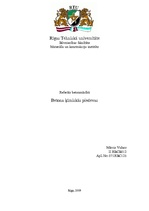 Referāts 'Betona ķīmiskās piedevas', 1.