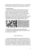 Referāts 'Betona ķīmiskās piedevas', 6.