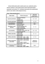 Referāts 'Betona ķīmiskās piedevas', 11.