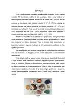 Referāts 'Vizlas materiāli', 3.