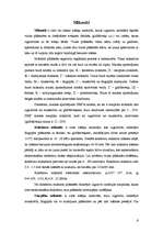 Referāts 'Vizlas materiāli', 6.