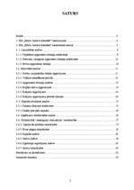 Referāts 'SIA „Emīla Gustava šokolāde” finanšu analīze', 2.