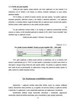 Referāts 'SIA „Emīla Gustava šokolāde” finanšu analīze', 16.