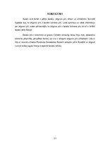 Referāts 'Jelgavas pils', 16.