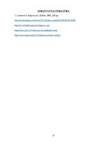 Referāts 'Jelgavas pils', 18.