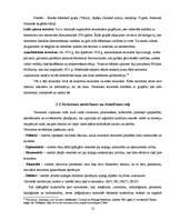 Referāts 'Kolektīvā drošības modeļa loma cīņā pret terorismu', 12.