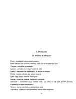 Referāts 'Kolektīvā drošības modeļa loma cīņā pret terorismu', 24.