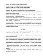 Referāts 'Kolektīvā drošības modeļa loma cīņā pret terorismu', 25.