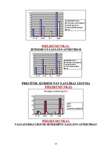 Referāts 'Laulības līguma nozīme laulāto attiecībās un aktualitāte mūsdienās', 24.