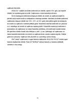 Referāts 'Graudkopības nozares uzņēmumu finanšu analīze laika posmā no 2002.gada līdz 2007', 72.
