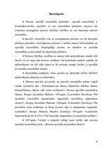 Referāts 'Personu speciālā procesuālā aizsardzība', 19.