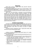 Referāts 'Datormultimediji', 4.