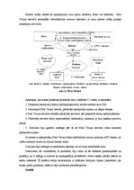 Referāts 'Mikromaksājumu sistēmas un to salīdzinājums', 15.