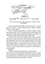 Referāts 'Mikromaksājumu sistēmas un to salīdzinājums', 18.