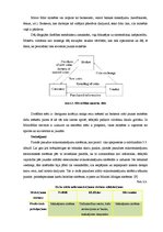 Referāts 'Mikromaksājumu sistēmas un to salīdzinājums', 19.