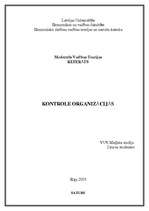 Referāts 'Kontrole organizācijās', 1.