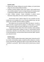 Referāts 'Kontrole organizācijās', 9.