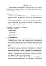 Referāts 'Kontrole organizācijās', 23.