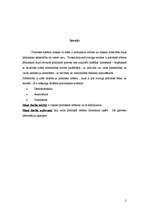 Referāts 'Politiskie režīmi', 3.