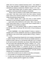 Referāts 'Latvijas darba tirgus 2004. un 2007.gadā', 8.