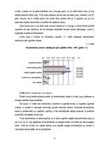 Referāts 'Latvijas darba tirgus 2004. un 2007.gadā', 21.