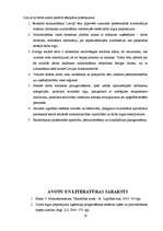 Referāts 'Latvijas darba tirgus 2004. un 2007.gadā', 28.