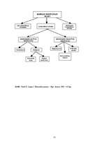 Referāts 'Latvijas darba tirgus 2004. un 2007.gadā', 31.