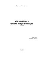 Referāts 'Mikrosakādes - optisko ilūziju izraisītājas', 1.