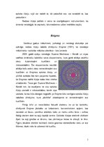 Referāts 'Mikrosakādes - optisko ilūziju izraisītājas', 5.