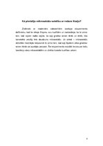 Referāts 'Mikrosakādes - optisko ilūziju izraisītājas', 6.