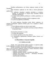 Referāts 'Uzņēmējdarbības finansēšanas avoti', 10.