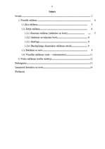 Referāts 'Vizuālā reklāma', 2.