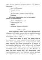 Referāts 'Vizuālā reklāma', 7.