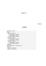 Paraugs 'Patstāvīgā darba struktūra', 6.