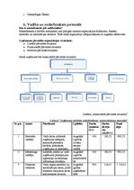 Biznesa plāns 'Biznesa plāns fitnesa centram', 13.