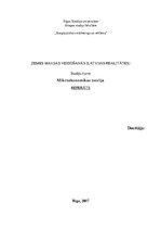 Referāts 'Zemes maksas veidošanās', 1.