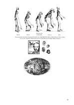 Referāts 'Dzīvības izcelšanās', 13.