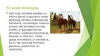Prezentācija 'Reitterapija', 7.