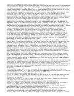 Eseja 'Foster Care Liberty', 2.