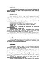 Referāts 'Karš', 8.