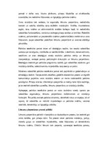 Eseja 'Politika un mūsdienu sabiedrība: varas struktūras, lēmumu pieņemšana un pilsoņu ', 2.