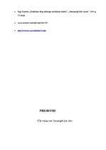 Referāts 'Sintētiskie mazgāšanas līdzekļi', 13.