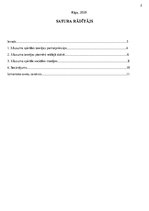 Referāts 'Klusuma spirāles teorija un tā aktualitāte jauniešu vidū', 2.